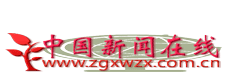 中国新闻在线2.png